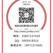 重慶神馬搜索競價推廣 技術推廣服務的創(chuàng)新實踐與優(yōu)化策略